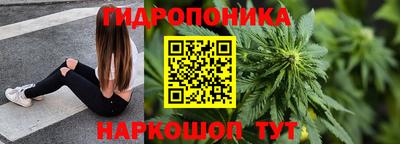 гидра Лесосибирск