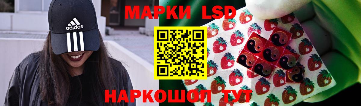 Заводоуковск  ЛСД экстази кислота  LSD-25 экстази кислота  Вход с VPN 
