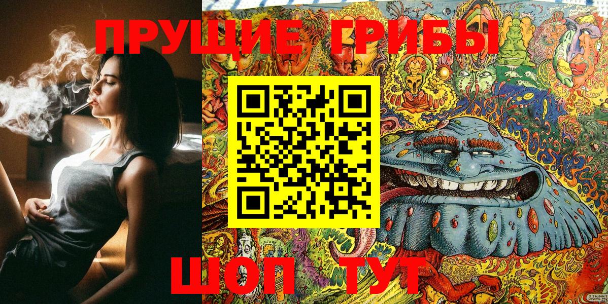 Галлюциногенные грибы Magic Shrooms Заводоуковск