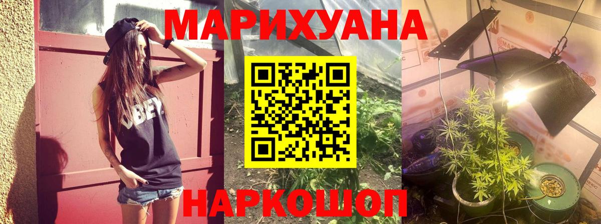 МАРИХУАНА семена  Бошки Шишки MAZAR  Заводоуковск  Шишки марихуана сатива  Вход с VPN 