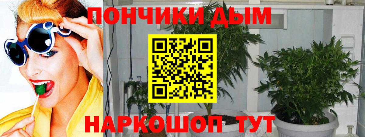 Канабис индика Заводоуковск